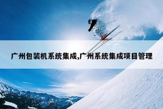广州包装机系统集成,广州系统集成项目管理