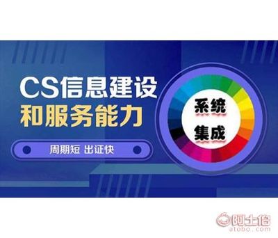 【CS信息系统建设服务能力评估